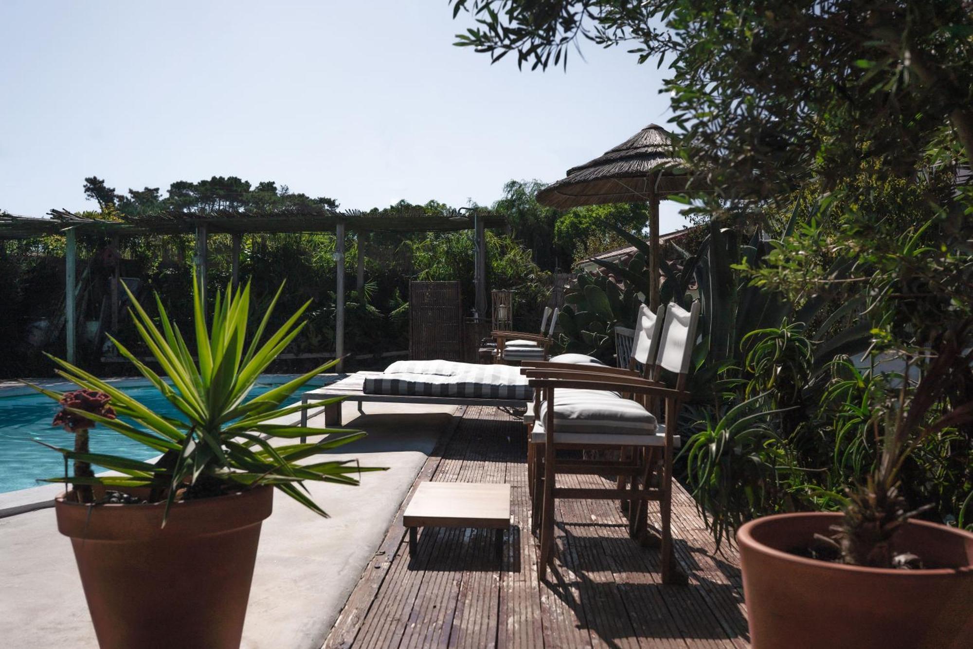Joao Jungle Appartement Acafora Buitenkant foto